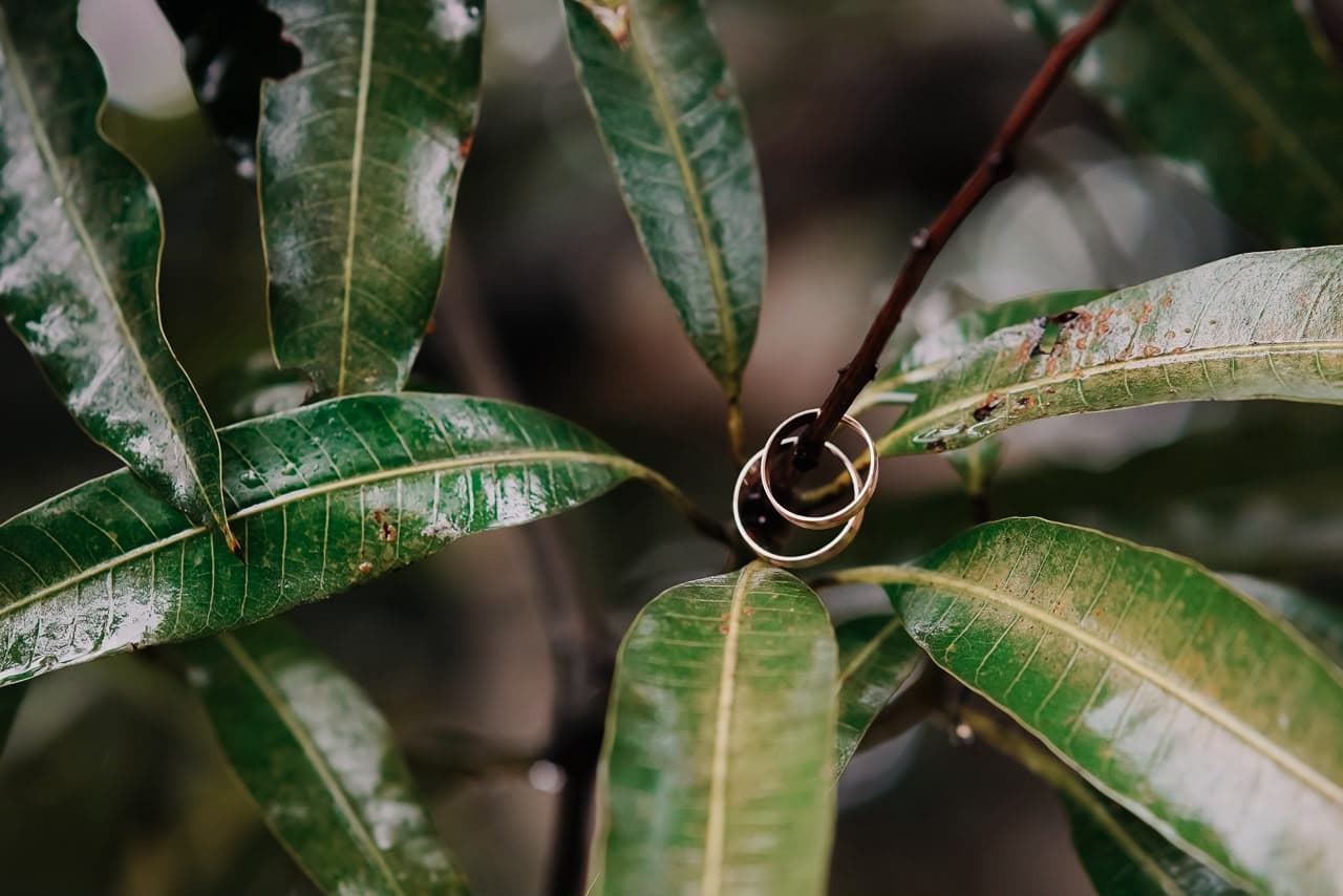 Portfólio de Fotografia